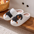 Chaussons chien